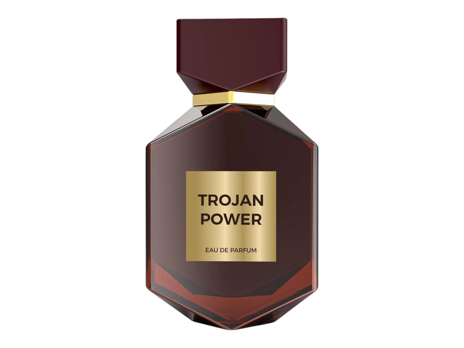 Camara Trojan Power EDP 100ML Unisex image 0