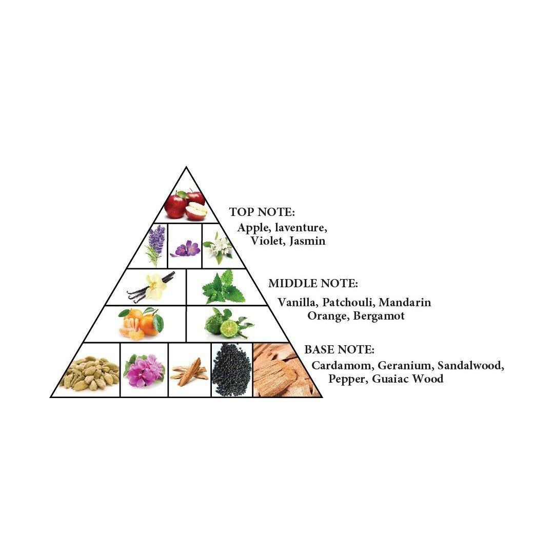 Al Haramain Detour Noir EDP 100ML Unisex image 3