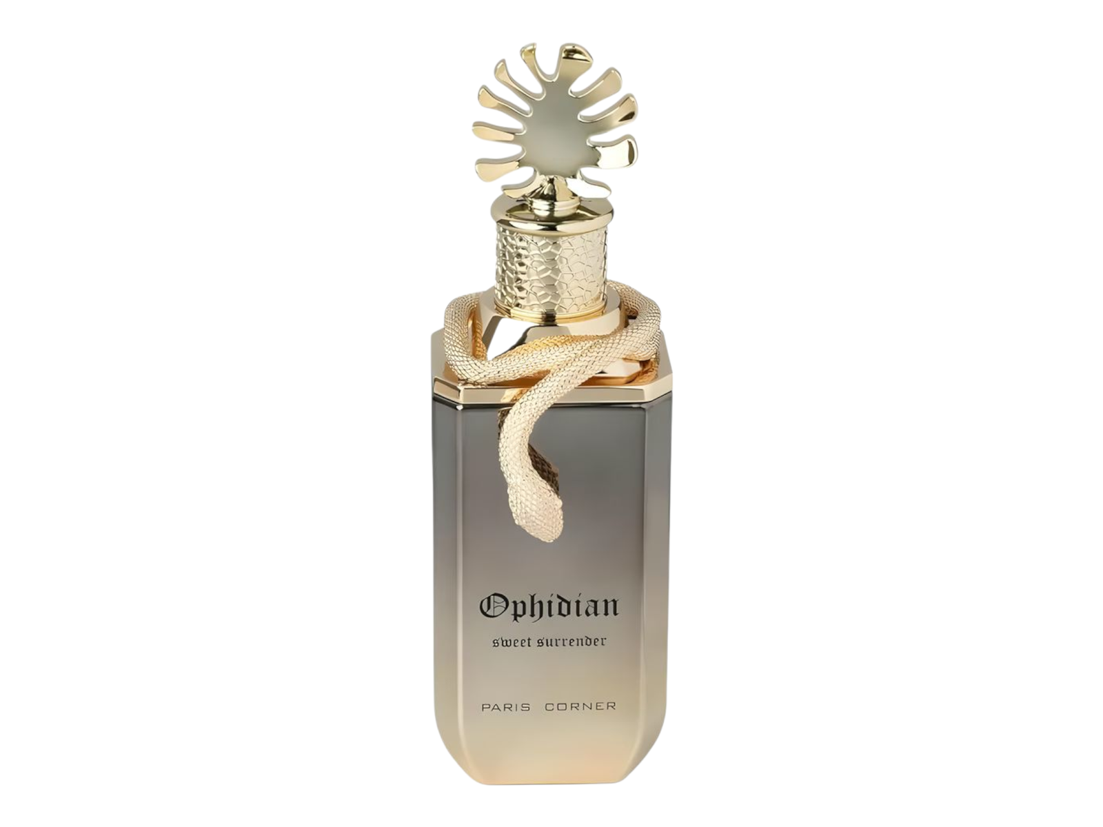 Paris Corner Ophidian Sweet Surrender EDP 100ML Unisex image 0