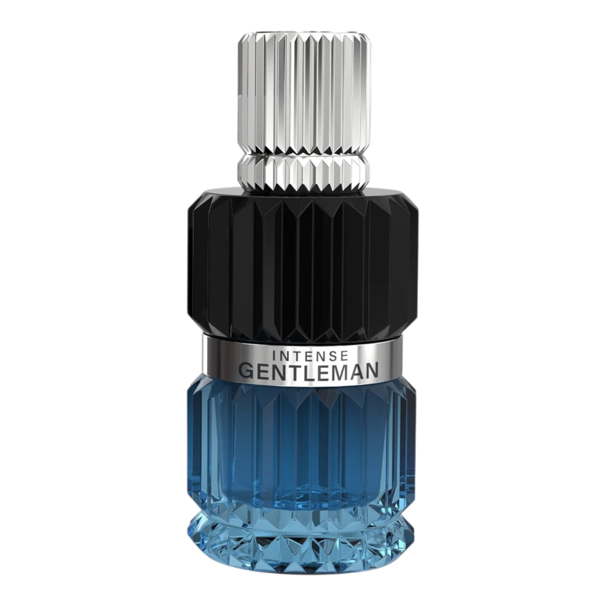Mirada Intense Gentleman EDP 100ML Men